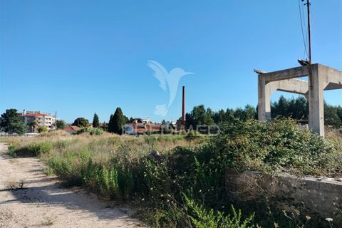 Helårsgrund i Entroncamento, Santarem, Entroncamento - € 550.000 | Ref: 045921 - foto 35