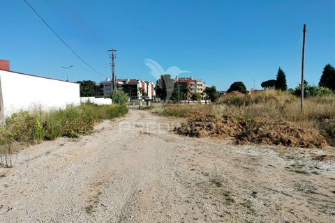 Helårsgrund i Entroncamento, Santarem, Entroncamento - € 550.000 | Ref: 045921 - foto 37