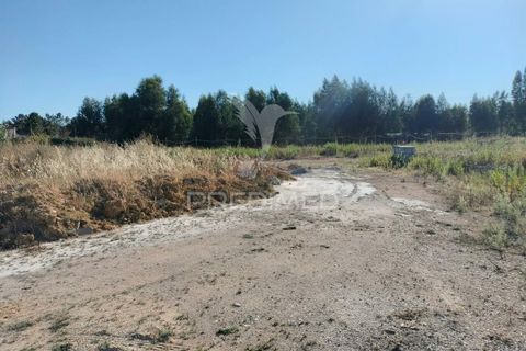 Helårsgrund i Entroncamento, Santarem, Entroncamento - € 550.000 | Ref: 045921 - foto 39