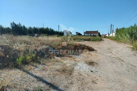 Helårsgrund i Entroncamento, Santarem, Entroncamento - € 550.000 | Ref: 045921 - foto 40