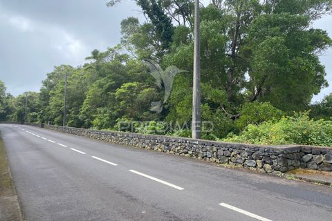 Tomt i Velas, Sao Jorge, Velas - € 275 000 | Ref: 046021 - foto 16