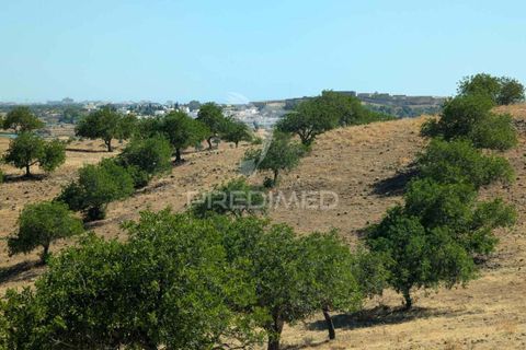 Farm hus i Castro Marim, Faro, Castro Marim - € 2.500.000 | Ref: 046162 - foto 10