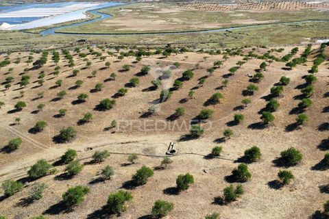 Farm hus i Castro Marim, Faro, Castro Marim - € 2.500.000 | Ref: 046162 - foto 25