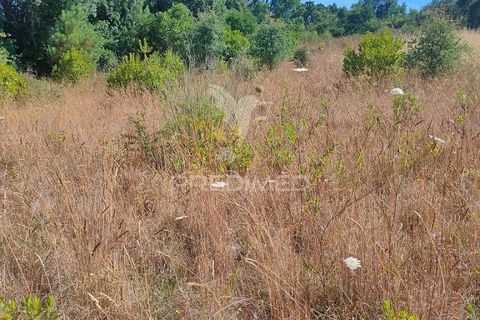 Helårsgrund i Tomar, Santarem, Tomar - € 5.000 | Ref: 046197 - foto 1