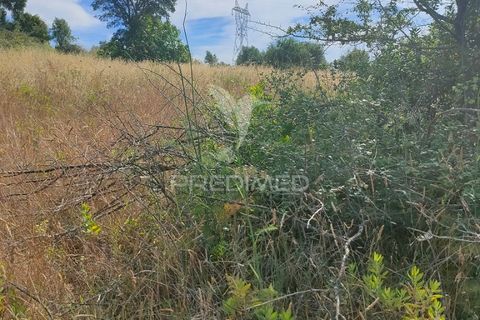 Helårsgrund i Tomar, Santarem, Tomar - € 5.000 | Ref: 046197 - foto 2
