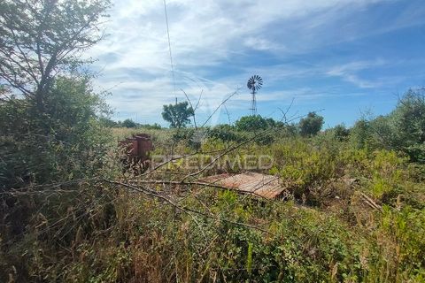 Helårsgrund i Tomar, Santarem, Tomar - € 5.000 | Ref: 046197 - foto 3