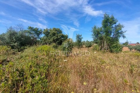 Helårsgrund i Tomar, Santarem, Tomar - € 5.000 | Ref: 046197 - foto 4
