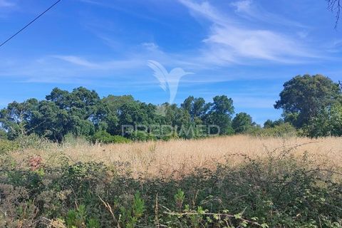 Helårsgrund i Tomar, Santarem, Tomar - € 5.000 | Ref: 046197 - foto 7