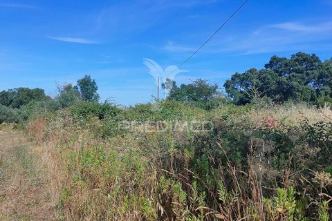 Helårsgrund i Tomar, Santarem, Tomar - € 5.000 | Ref: 046197 - foto 8