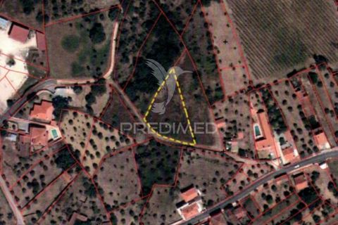 Helårsgrund i Tomar, Santarem, Tomar - € 5.000 | Ref: 046197 - foto 9
