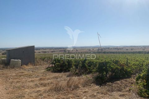 Terra a Mourao, Evora, Mourao - € 250.000 | Ref: 046576 - foto 3