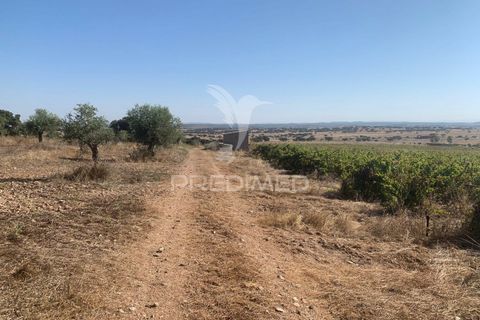 Terra a Mourao, Evora, Mourao - € 250.000 | Ref: 046576 - foto 9