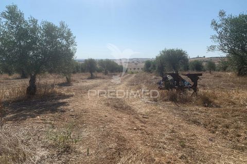Terra a Mourao, Evora, Mourao - € 250.000 | Ref: 046576 - foto 14