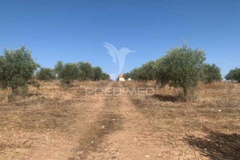 Terra a Mourao, Evora, Mourao - € 250.000 | Ref: 046576 - foto 16