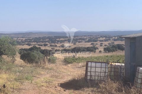 Terra a Mourao, Evora, Mourao - € 250.000 | Ref: 046576 - foto 17