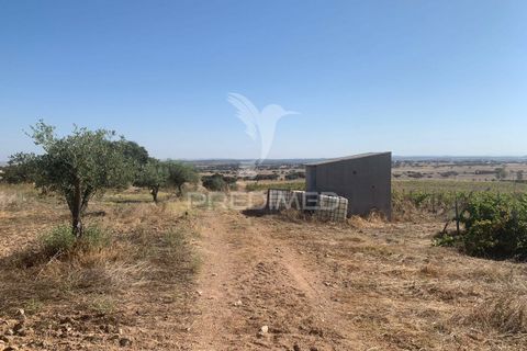 Terra a Mourao, Evora, Mourao - € 250.000 | Ref: 046576 - foto 18