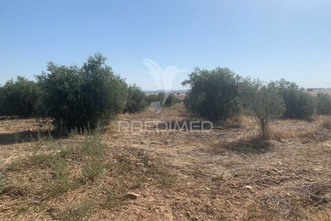 Terra a Mourao, Evora, Mourao - € 250.000 | Ref: 046576 - foto 19