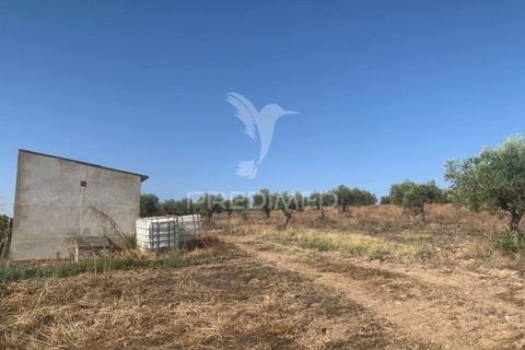 Terra a Mourao, Evora, Mourao - € 250.000 | Ref: 046576 - foto 20