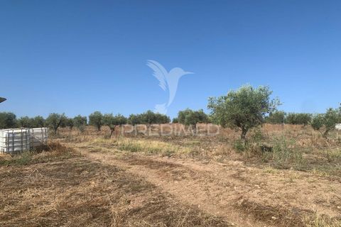 Terra a Mourao, Evora, Mourao - € 250.000 | Ref: 046576 - foto 22