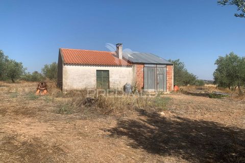 Terra a Mourao, Evora, Mourao - € 250.000 | Ref: 046576 - foto 23