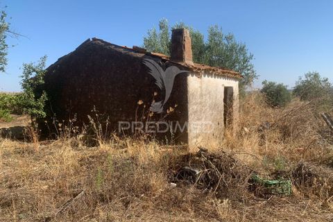 Terra a Mourao, Evora, Mourao - € 250.000 | Ref: 046576 - foto 29