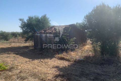Terra a Mourao, Evora, Mourao - € 250.000 | Ref: 046576 - foto 30