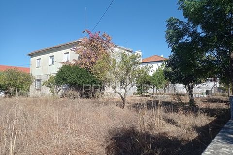 Byhus i Avis, Portalegre, Avis - € 159.000 | Ref: 047216 - foto 5