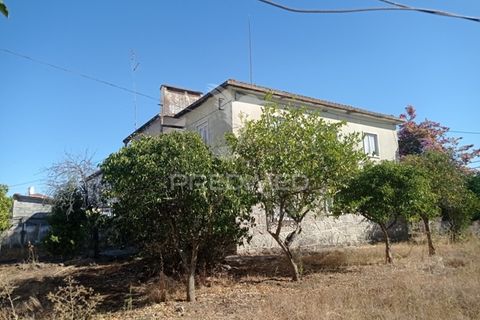 Byhus i Avis, Portalegre, Avis - € 159.000 | Ref: 047216 - foto 6