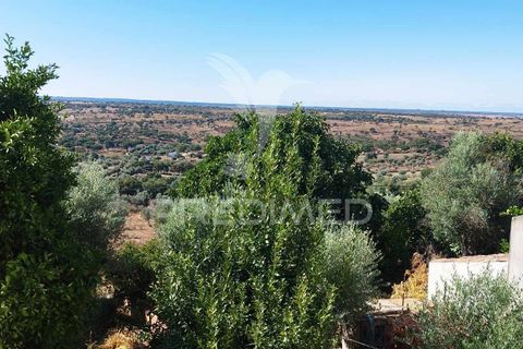 Byhus i Nisa, Portalegre, Nisa - € 45.000 | Ref: 047433 - foto 8