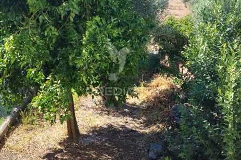 Byhus i Nisa, Portalegre, Nisa - € 45.000 | Ref: 047433 - foto 10