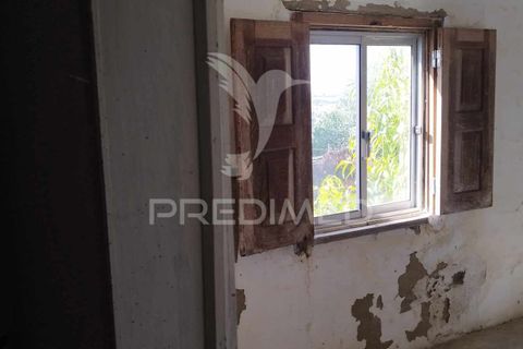 Byhus i Nisa, Portalegre, Nisa - € 45.000 | Ref: 047433 - foto 11