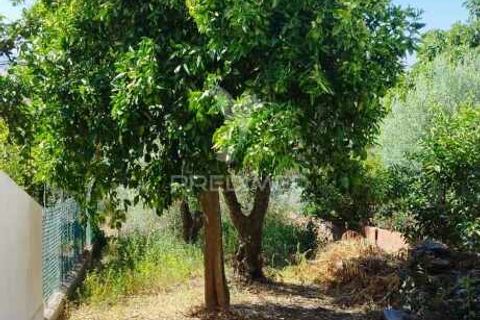 Byhus i Nisa, Portalegre, Nisa - € 45.000 | Ref: 047433 - foto 15