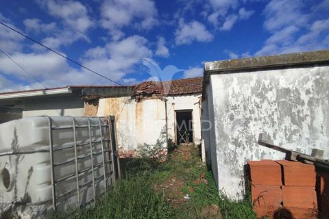 Byhus i Chamusca, Santarem, Chamusca - € 49.900 | Ref: 048028 - foto 4