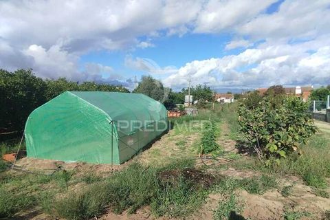 Byhus i Chamusca, Santarem, Chamusca - € 49.900 | Ref: 048028 - foto 8