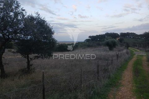 Terra a Alandroal, Evora, Alandroal - € 19.150 | Ref: 048492 - foto 2