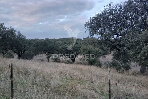 Terra a Alandroal, Evora, Alandroal - € 19.150 | Ref: 048492 - foto 3
