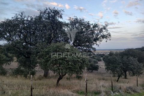 Terra a Alandroal, Evora, Alandroal - € 19.150 | Ref: 048492 - foto 4