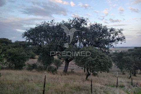 Terra a Alandroal, Evora, Alandroal - € 19.150 | Ref: 048492 - foto 5