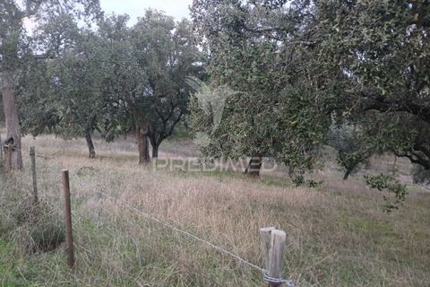 Terra a Alandroal, Evora, Alandroal - € 19.150 | Ref: 048492 - foto 6