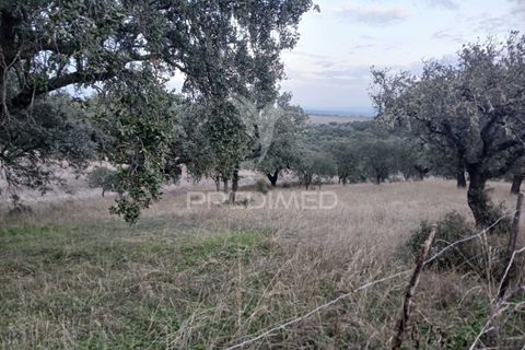 Terra a Alandroal, Evora, Alandroal - € 19.150 | Ref: 048492 - foto 7