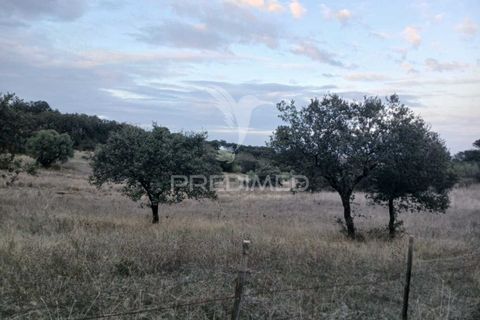 Terra a Alandroal, Evora, Alandroal - € 19.150 | Ref: 048492 - foto 8