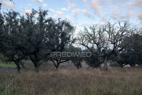 Terra a Alandroal, Evora, Alandroal - € 19.150 | Ref: 048492 - foto 9