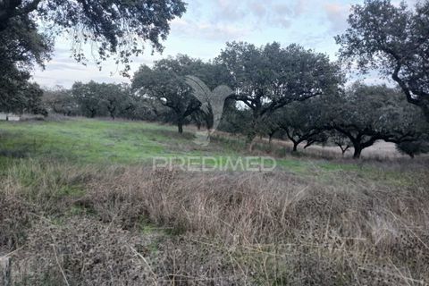 Terra a Alandroal, Evora, Alandroal - € 19.150 | Ref: 048492 - foto 11