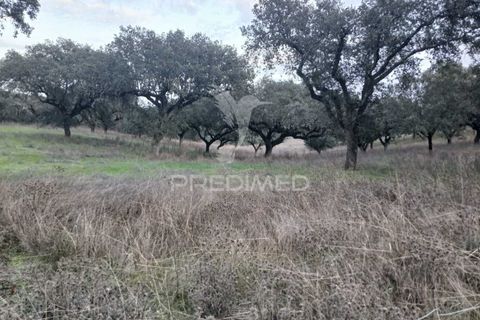 Terra a Alandroal, Evora, Alandroal - € 19.150 | Ref: 048492 - foto 12