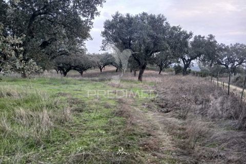 Terra a Alandroal, Evora, Alandroal - € 19.150 | Ref: 048492 - foto 16