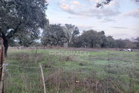 Terra a Alandroal, Evora, Alandroal - € 19.150 | Ref: 048492 - foto 17