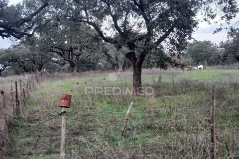Terra a Alandroal, Evora, Alandroal - € 19.150 | Ref: 048492 - foto 18