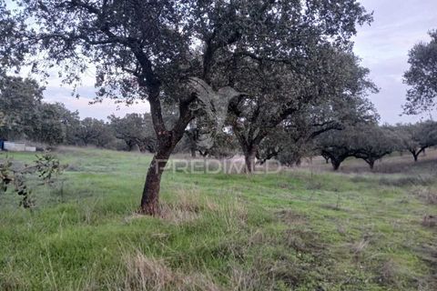 Terra a Alandroal, Evora, Alandroal - € 19.150 | Ref: 048492 - foto 19
