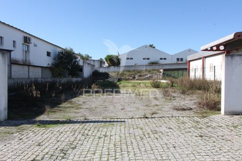 Terra a Arraiolos, Evora, Arraiolos - € 50.000 | Ref: 048690 - foto 2