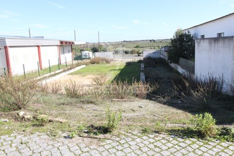 Terra a Arraiolos, Evora, Arraiolos - € 50.000 | Ref: 048690 - foto 3